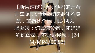 专注快乐的女仆 日高