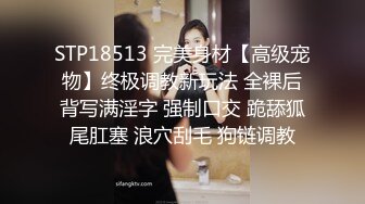 STP18513 完美身材【高级宠物】终极调教新玩法 全裸后背写满淫字 强制口交 跪舔狐尾肛塞 浪穴刮毛 狗链调教