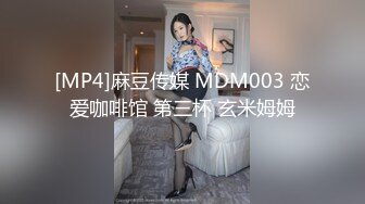 [MP4]麻豆传媒 MDM003 恋爱咖啡馆 第三杯 玄米姆姆