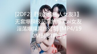 [2DF2]〖我的机器人女友3〗无套爆操极品黑丝爆乳ai女友 淫荡爆操屌丝订制 [MP4/192MB][BT种子]