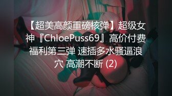 【超美高颜重磅核弹】超级女神『ChloePuss69』高价付费福利第三弹 速插多水骚逼浪穴 高潮不断 (2)