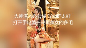 大神潜入办公楼 光线不太好 打开手电筒拍高跟美女的多毛B