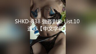 SHKD-838 強姦對象 List.10 遙彩【中文字幕】