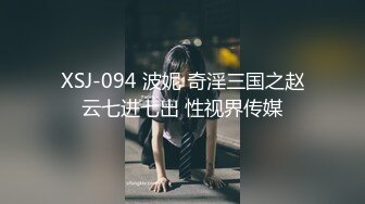 XSJ-094 波妮 奇淫三国之赵云七进七出 性视界传媒