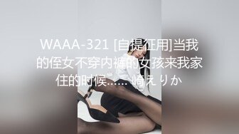 WAAA-321 [自提征用]当我的侄女不穿内裤的女孩来我家住的时候…… 崎えりか