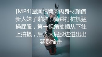 优雅白富美气质女神『DemiFairyTW爹咪』✅性感黑丝吊带诱惑，站立后入，主动坐到大肉棒上用小骚逼温暖大鸡巴[MP4/353MB]