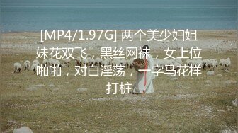 [MP4/1.97G] 两个美少妇姐妹花双飞，黑丝网袜，女上位啪啪，对白淫荡，一字马花样打桩