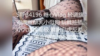 麻豆传媒 MD-0230-1 家族团员年夜饭❤️母女乱伦