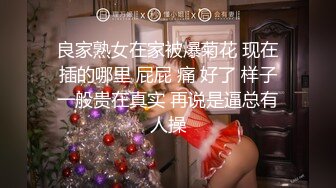 良家熟女在家被爆菊花 现在插的哪里 屁屁 痛 好了 样子一般贵在真实 再说是逼总有人操