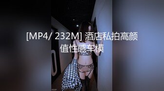 [MP4/ 232M] 酒店私拍高颜值性感车模