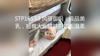 STP16553 风骚御姐，极品美乳，翘臀大长腿肤白如玉温柔似水