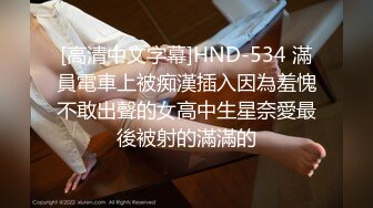 [高清中文字幕]HND-534 滿員電車上被痴漢插入因為羞愧不敢出聲的女高中生星奈愛最後被射的滿滿的