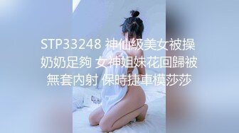 【SDMS-427】 柔道