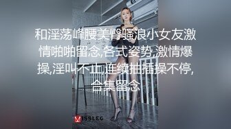 王牌飞行员与他的极品嫩模