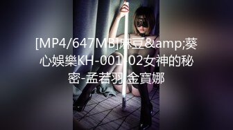 [HD/0.4G] 2023-02-28 蜜桃影像PMS-005-3阖家淫新年篇章三淫宵佳节