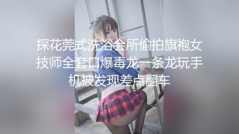 可以马上干的专用女仆Vol.3