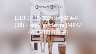 [2DF2]早期东莞iso桑拿系列 (38) - soav_evMerge [MP4/44.0MB][BT种子]