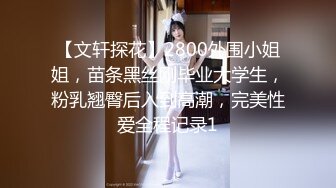 【文轩探花】2800外围小姐姐，苗条黑丝刚毕业大学生，粉乳翘臀后入到高潮，完美性爱全程记录1