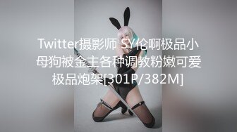 Twitter摄影师 SY伦啊极品小母狗被金主各种调教粉嫩可爱极品炮架[301P/382M]