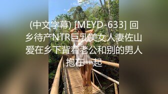 (中文字幕) [MEYD-633] 回乡待产NTR巨乳美女人妻佐山爱在乡下背着老公和别的男人抱在一起