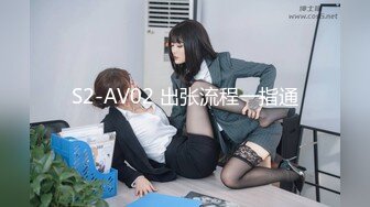 S2-AV02 出张流程一指通