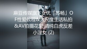 麻豆传媒旗下女优「苏畅」OF性爱教程&大尺度生活私拍&AV拍摄花絮 清纯白虎反差小淫女 (2)