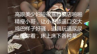 淫妻大神近期新作【番尼君】分享老婆，喜欢找单男和换妻，质量挺高，淫乱大场面，下