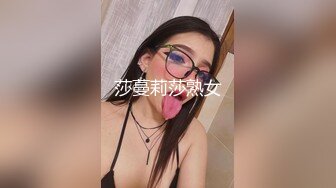 KTV女厕小手电补光偷拍 几位美少妇的极品肥鲍鱼