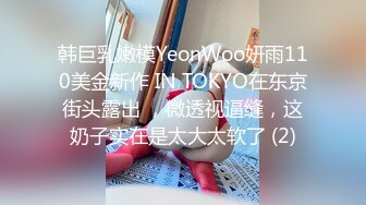 韩巨乳嫩模YeonWoo妍雨110美金新作 IN TOKYO在东京街头露出 ，微透视逼缝，这奶子实在是太大太软了 (2)