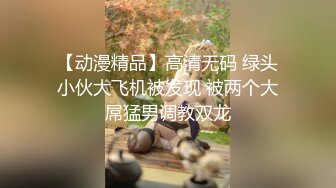 【动漫精品】高清无码 绿头小伙大飞机被发现 被两个大屌猛男调教双龙