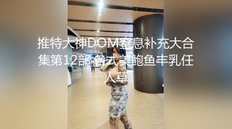 推特大神DOM窒息补充大合集第12部 各式美鲍鱼丰乳任人草