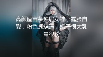 私房四月最新流出大神手持拍摄 潜入某高端写字楼隔板女厕偷拍职业装各色性感高跟鞋白领嘘嘘 (3)