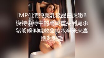 [MP4]清纯美乳极品白虎嫩B模特束缚中的高潮重头到尾杀猪般嚎叫喊救命喷水半米来高绝对刺激