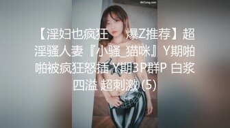 饲育系少女X呀 雷姆