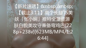 【新片速遞】&nbsp;&nbsp;✨【截止3.11】高个长腿TS美妖「张小娴」推特全量资源 肤白貌美攻守兼备弯鸡巴(228p+238v)[623MB/MP4/1:26:44]
