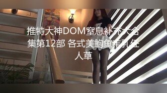 推特大神DOM窒息补充大合集第12部 各式美鲍鱼丰乳任人草