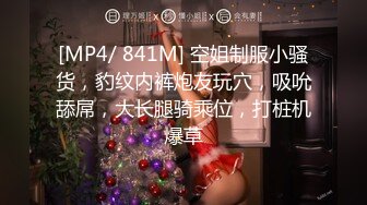 [MP4/ 841M] 空姐制服小骚货，豹纹内裤炮友玩穴，吸吮舔屌，大长腿骑乘位，打桩机爆草