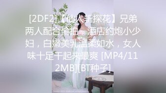 [2DF2]【仙人斩探花】兄弟两人配合偷拍，酒店约炮小少妇，白嫩美乳温柔如水，女人味十足干起来最爽 [MP4/112MB][BT种子]