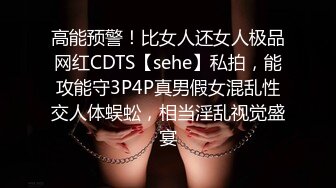 高能预警！比女人还女人极品网红CDTS【sehe】私拍，能攻能守3P4P真男假女混乱性交人体蜈蚣，相当淫乱视觉盛宴