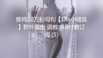 推特30万粉母狗【Ella小骚狐】野外露出 调教 多P付费订阅 (5)