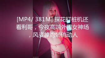 [MP4/ 381M] 探花打桩机还看利哥，今夜高端外围女神场，风姿绰约娇俏动人