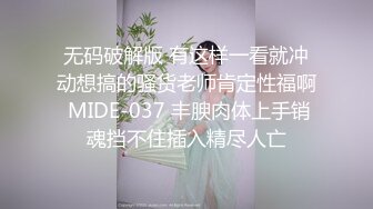 主动的小狗狗