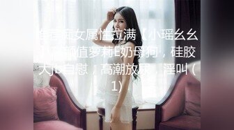 推荐痴女属性拉满【小瑶幺幺】高颜值萝莉E奶母狗，硅胶大jb自慰，高潮放尿，淫叫 (1)