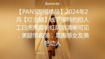 【PANS国模精品】2024年2月【叮当猫】线下模特约拍人工白虎两瓣粉红阴唇清晰可见，美腿情趣装，氛围感女友美艳动人