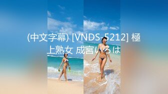 (中文字幕) [VNDS-5212] 極上熟女 成宮いろは