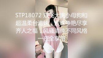 STP18072 双飞大胸小母狗和超温柔台湾妹，双姝争艳尽享齐人之福，风骚清纯不同风格一夜全享用