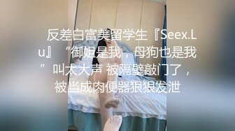 ✿反差白富美留学生『Seex.Lu』“御姐是我，母狗也是我”叫太大声 被隔壁敲门了，被当成肉便器狠狠发泄