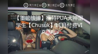 【重磅核弹】推特PUA大神留学生【Chusuk】11月付费VIP福利