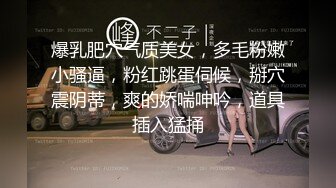 爆乳肥穴气质美女，多毛粉嫩小骚逼，粉红跳蛋伺候，掰穴震阴蒂，爽的娇喘呻吟，道具插入猛捅