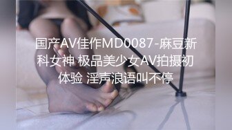 国产AV佳作MD0087-麻豆新科女神 极品美少女AV拍摄初体验 淫声浪语叫不停